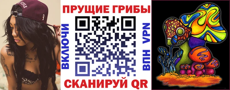 Галлюциногенные грибы Psilocybine cubensis Коряжма