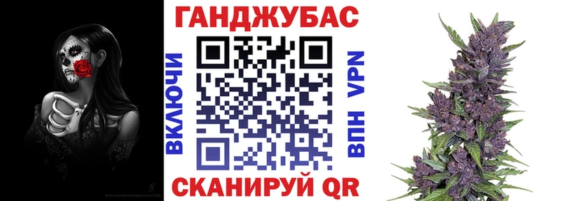 mega ТОР  Коряжма  Конопля гибрид 
